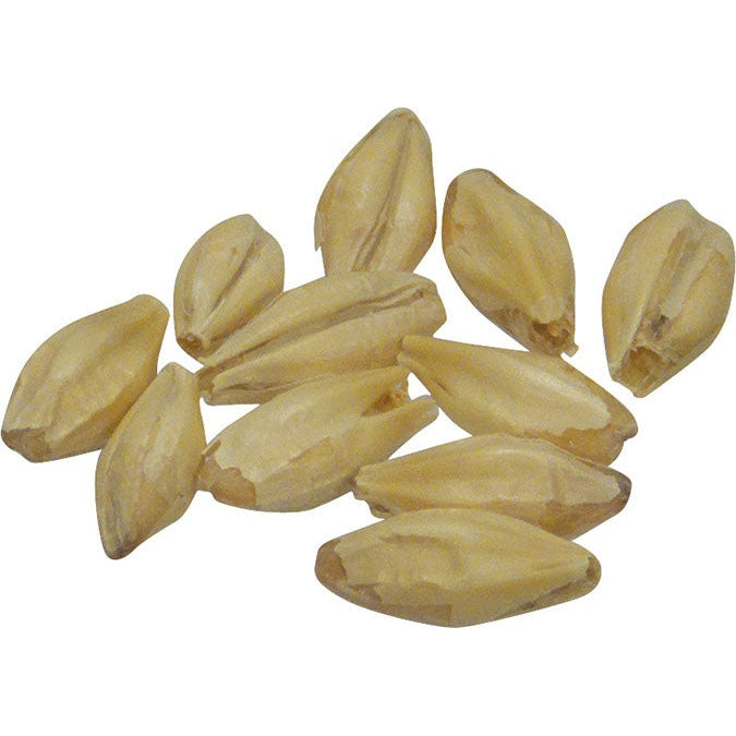 Malt - Briess - Goldpils Vienna (50 lb Sack)
