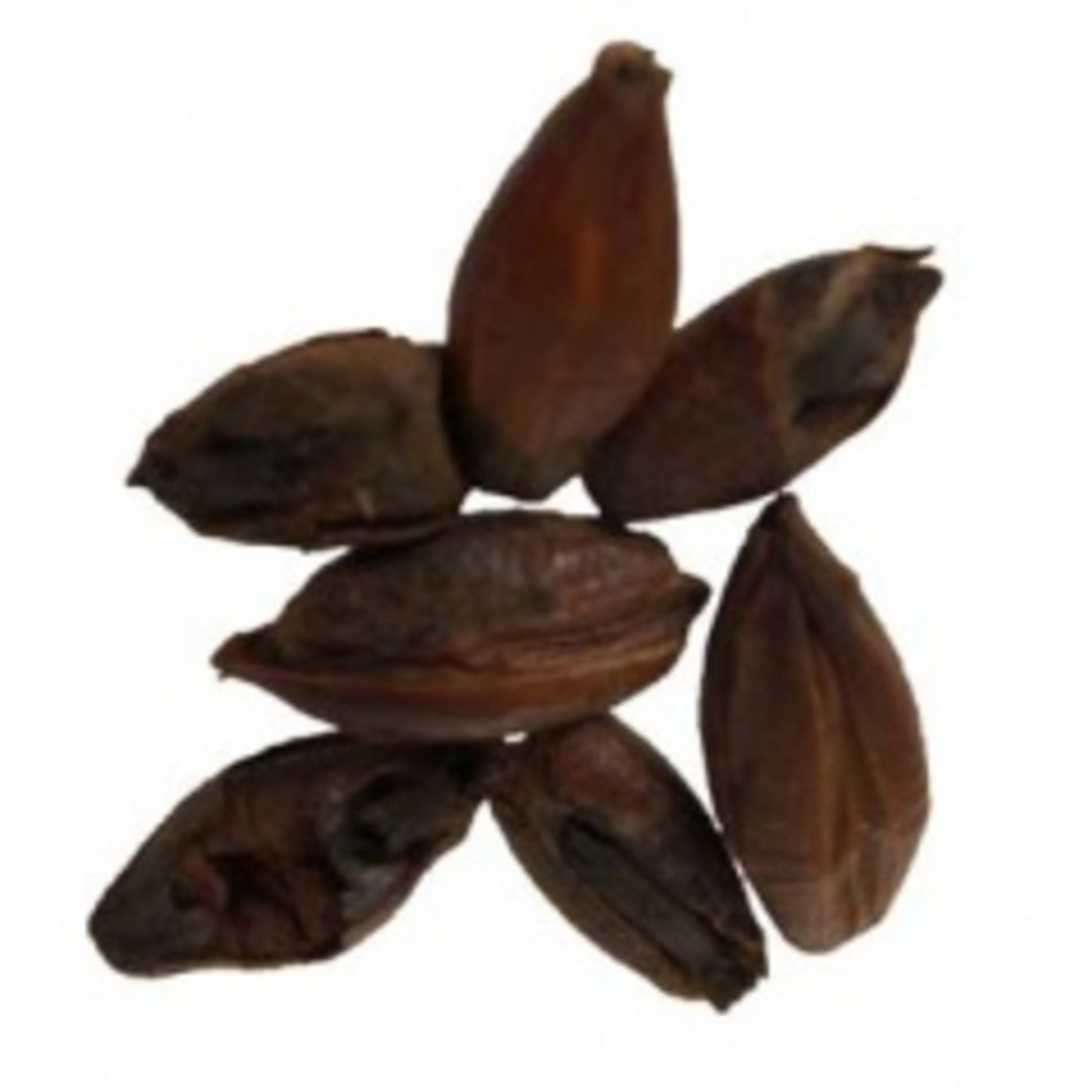 Briess Roasted Barley - 50 lb Sack