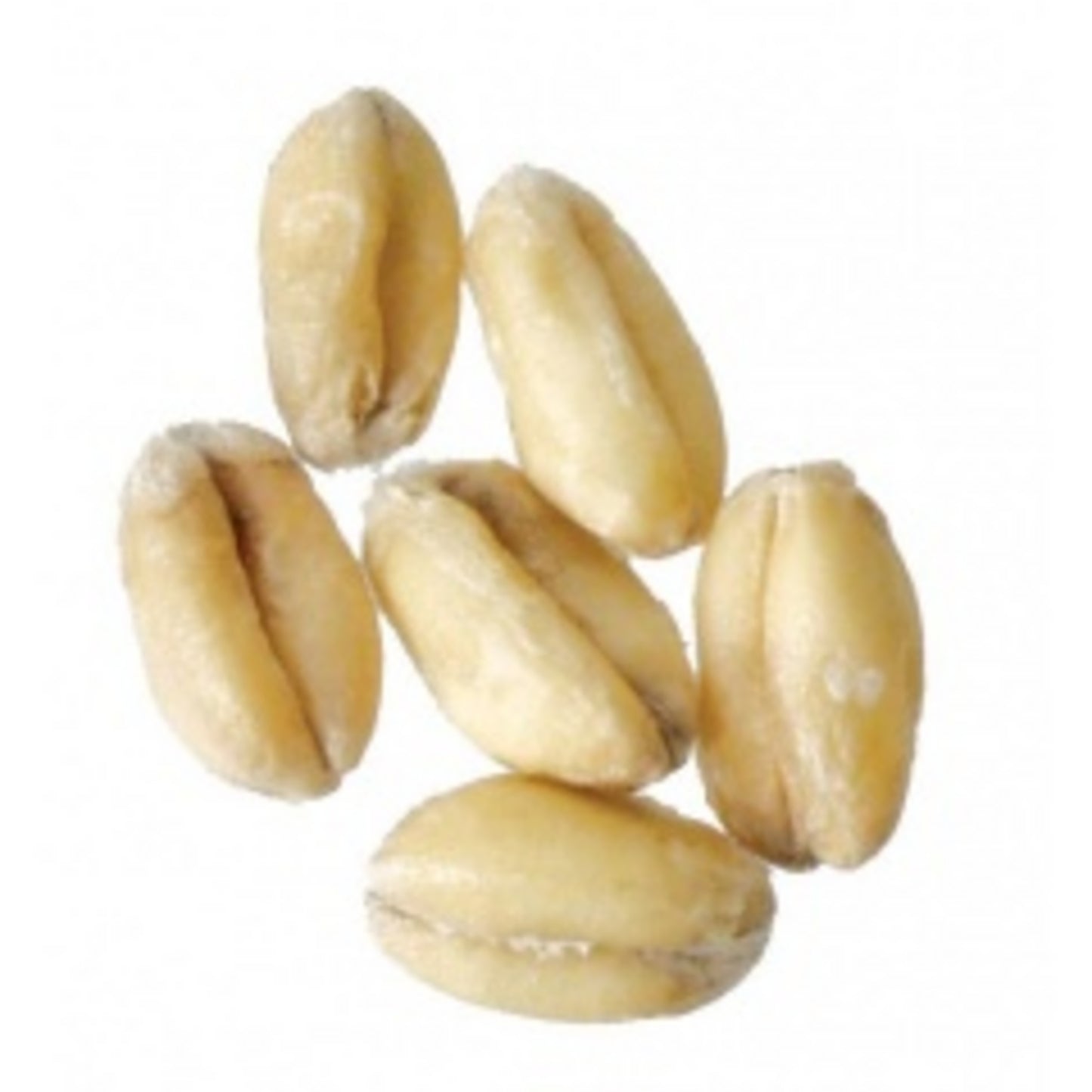 Briess Raw White Wheat - 50 lb Sack