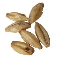 Malt - Dingemans - Biscuit (55 lb Sack)