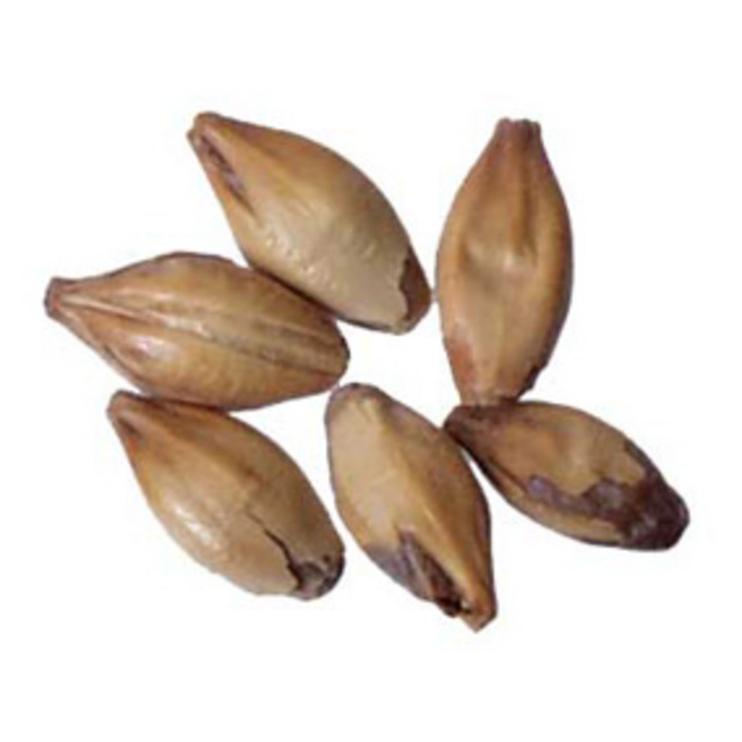 British Crystal 50/60L 55 lb Sack