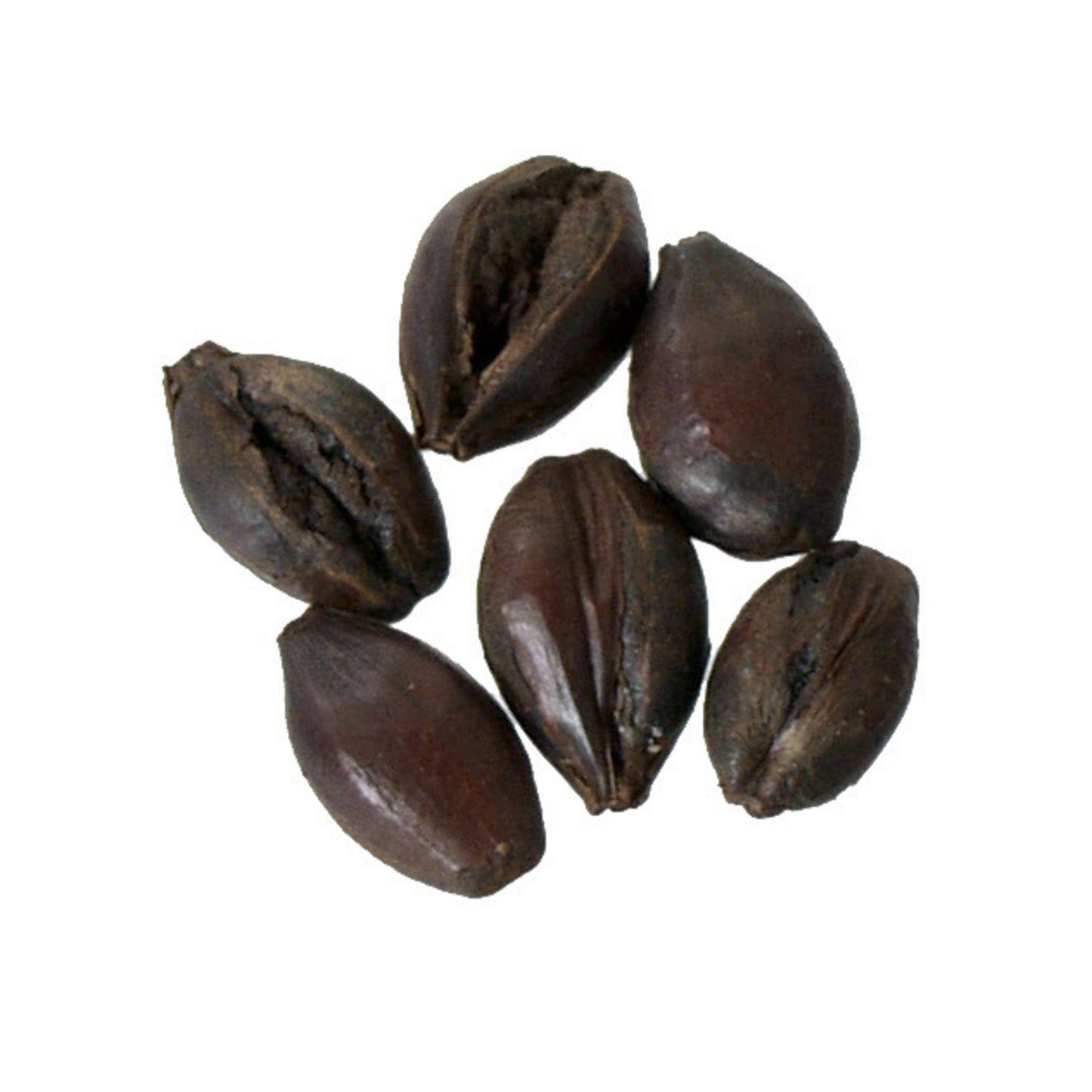 Bairds Roasted Barley 55 lb Sack