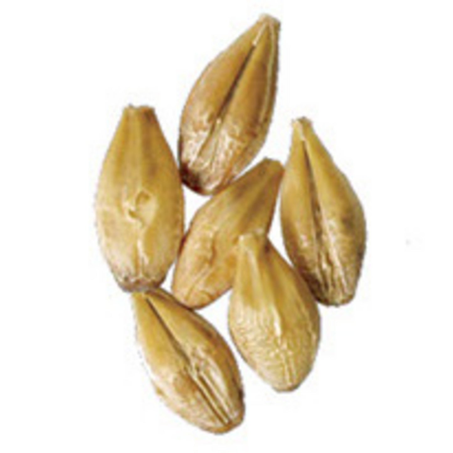 Malt - Weyermann - Acidulated Malt (55 lb Sack)