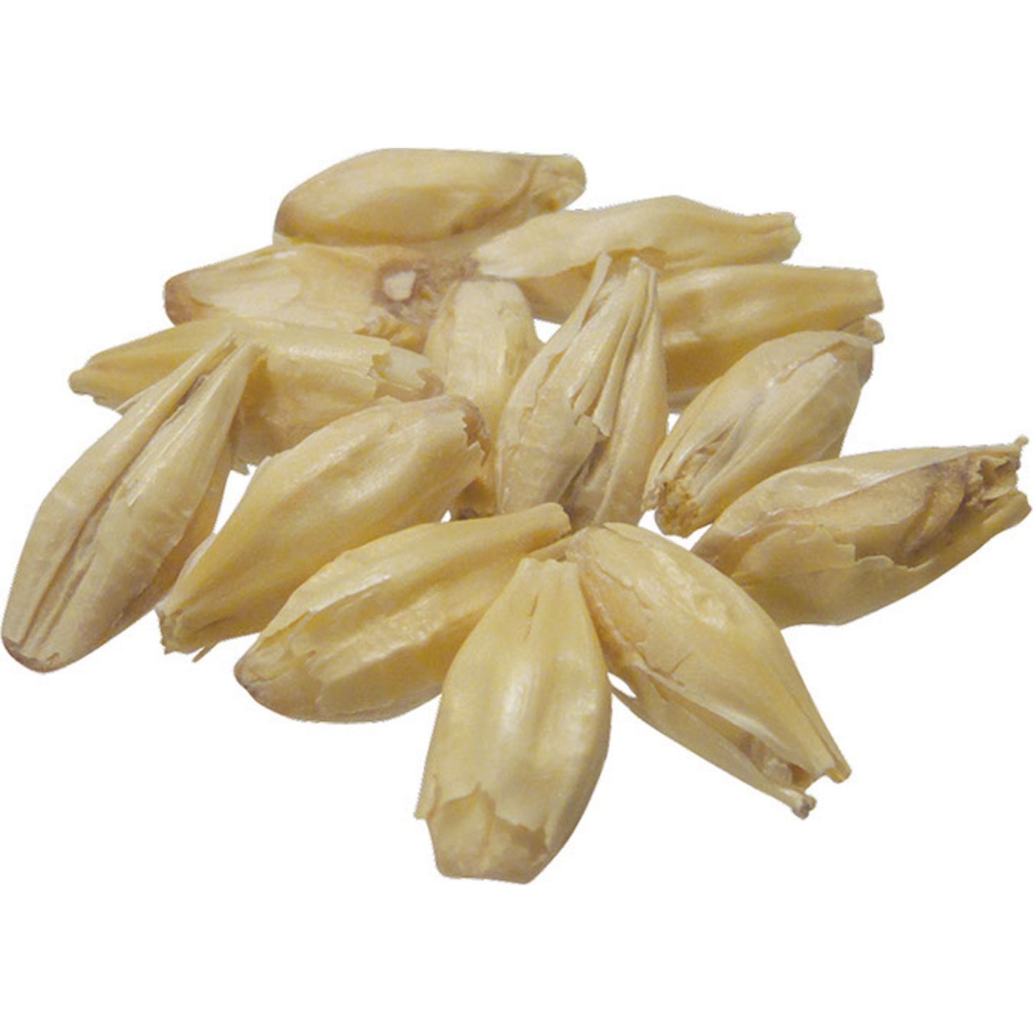 Pilsen Malt 50 lb Sack