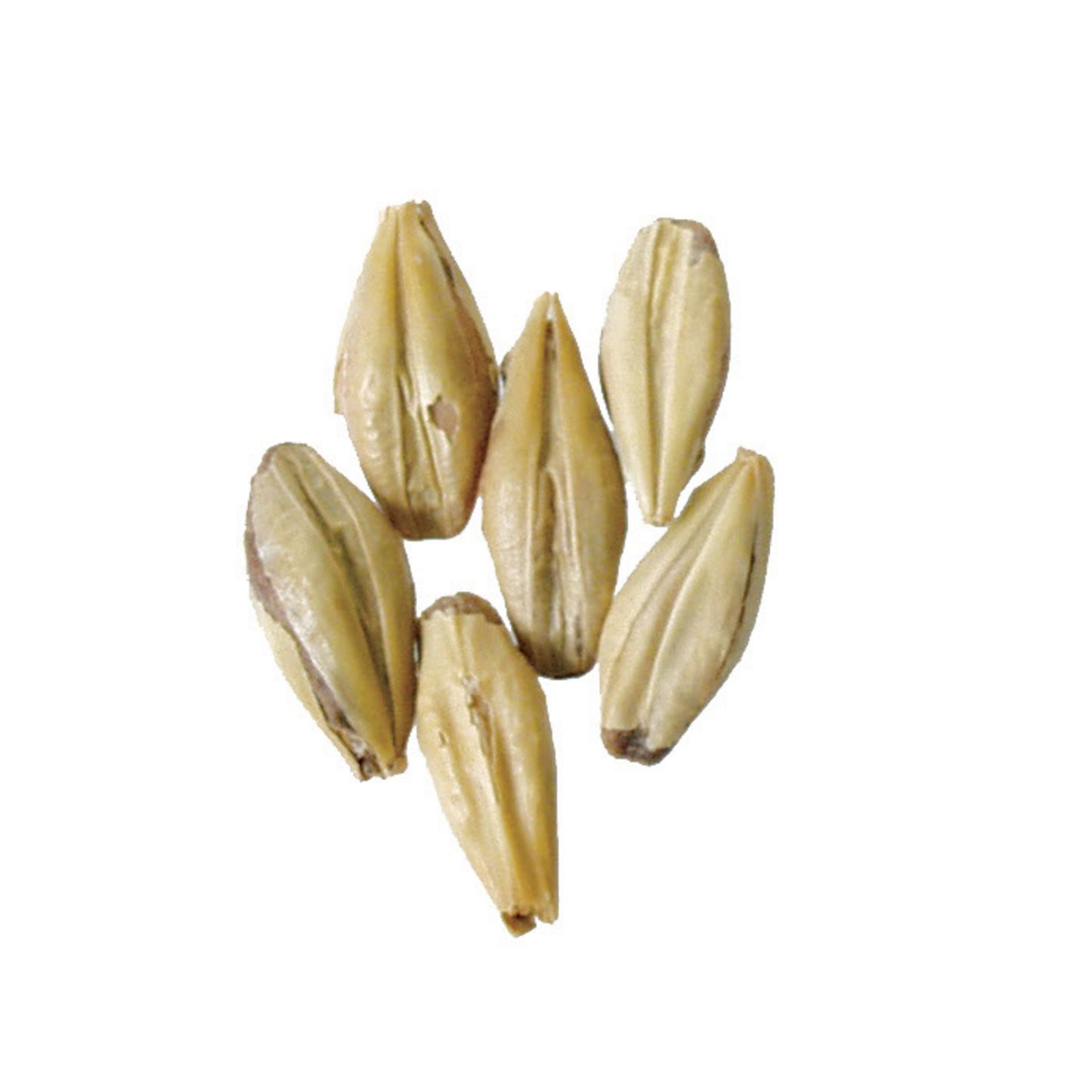 Briess Victory Malt 50 lb Sack