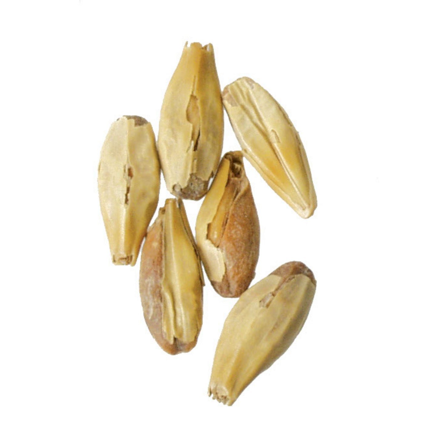 Briess Special Roast Malt 50 lb Sack