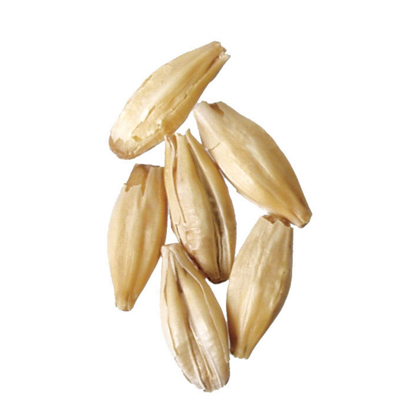 Weyermann® CaraFoam 55 lb Sack