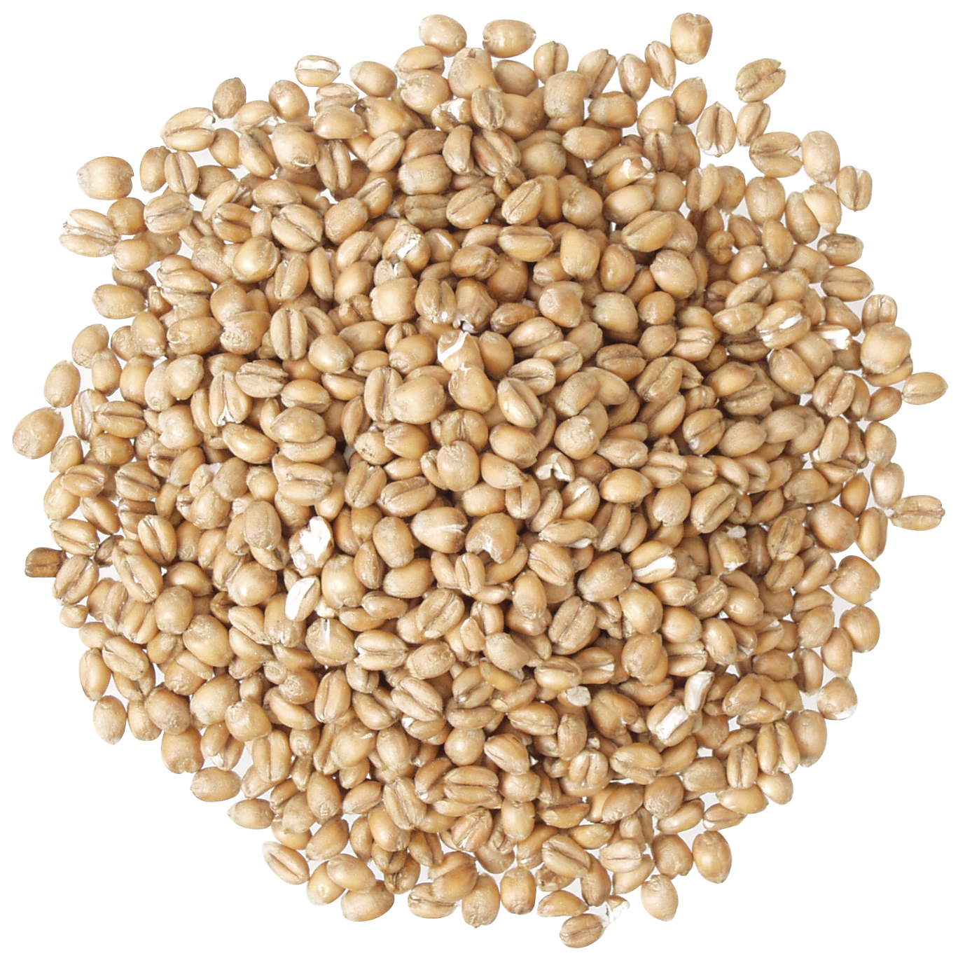 Briess - Torrified Wheat - (50 lb sack)