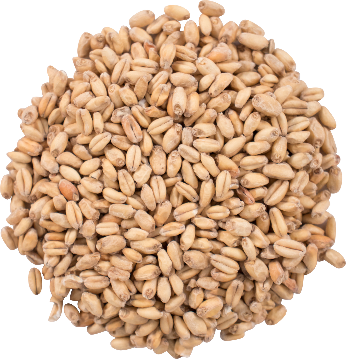 Malt - Great Western - White Wheat (55 lb Sack)
