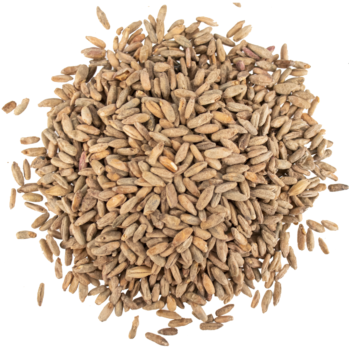 Malt - Viking Malt - Rye (55 lb Sack)