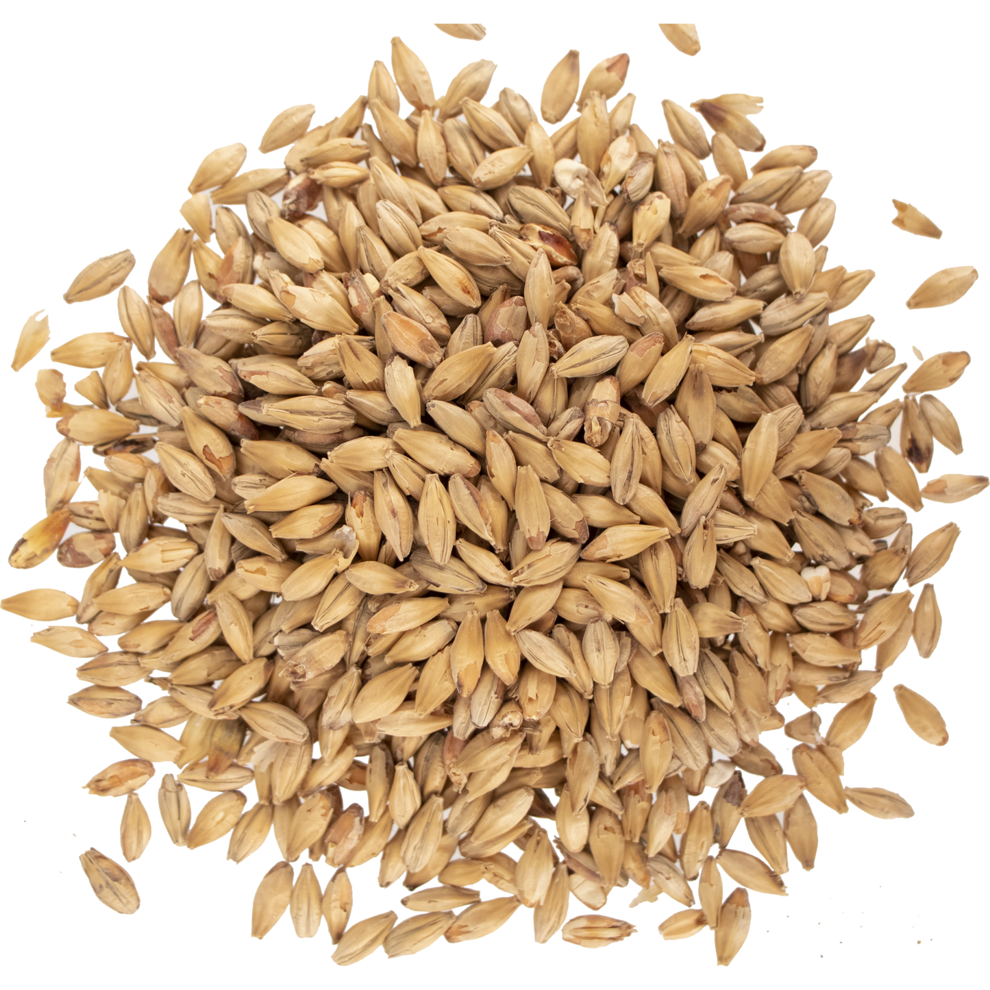 Malt - Viking Malt - Munich Dark (55 lb Sack)