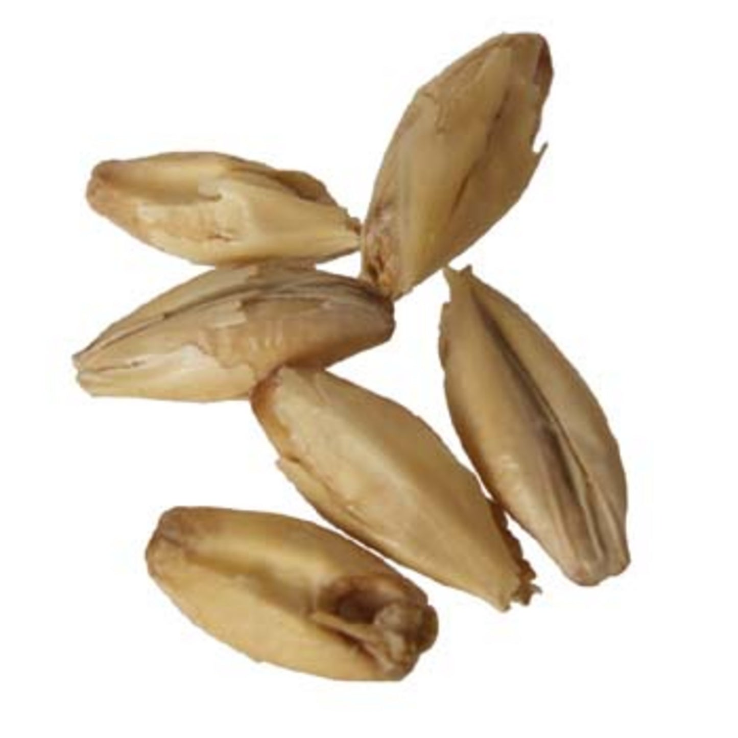 Weyermann German Munich 55 lb Sack