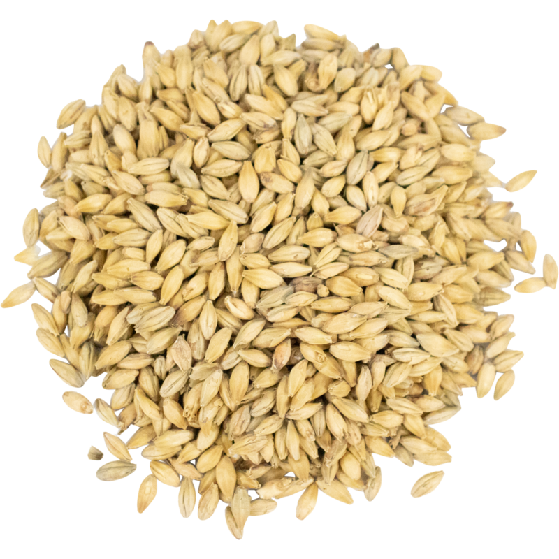 Viking Malt | Pilsner Zero Malt | 55 LB Sack