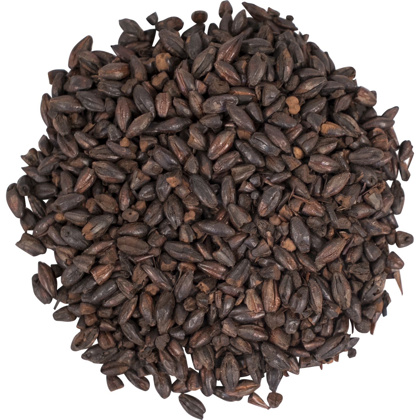 Dark Chocolate Malt | Briess Malting | 50 LB Sack