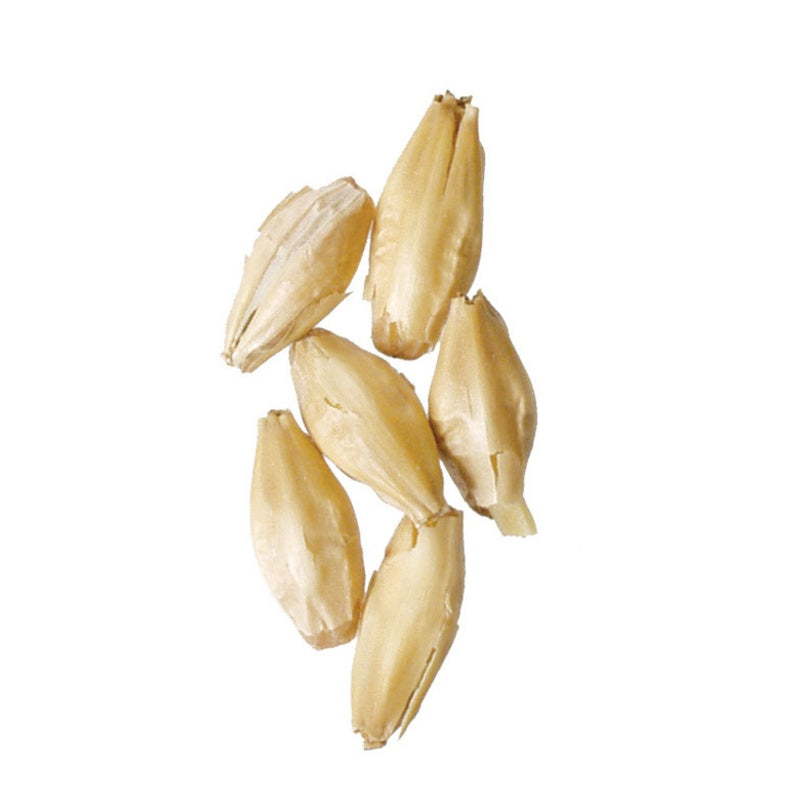 Rahr 6-Row 55 lb Sack