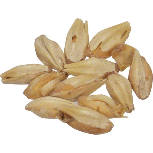 Malt - Briess Bonlander Munich  (50 lb Sack)