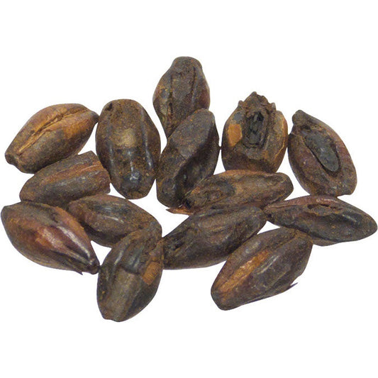 Malt - Briess - Chocolate (50 lb Sack)