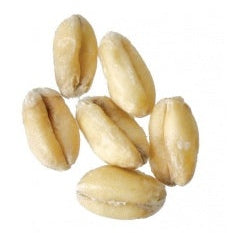 Malt - Briess - Raw White Wheat (50 lb Sack)