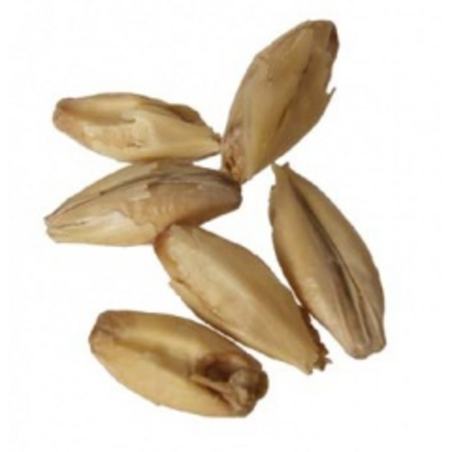 Dingemans Biscuit Malt - 55 lb Sack