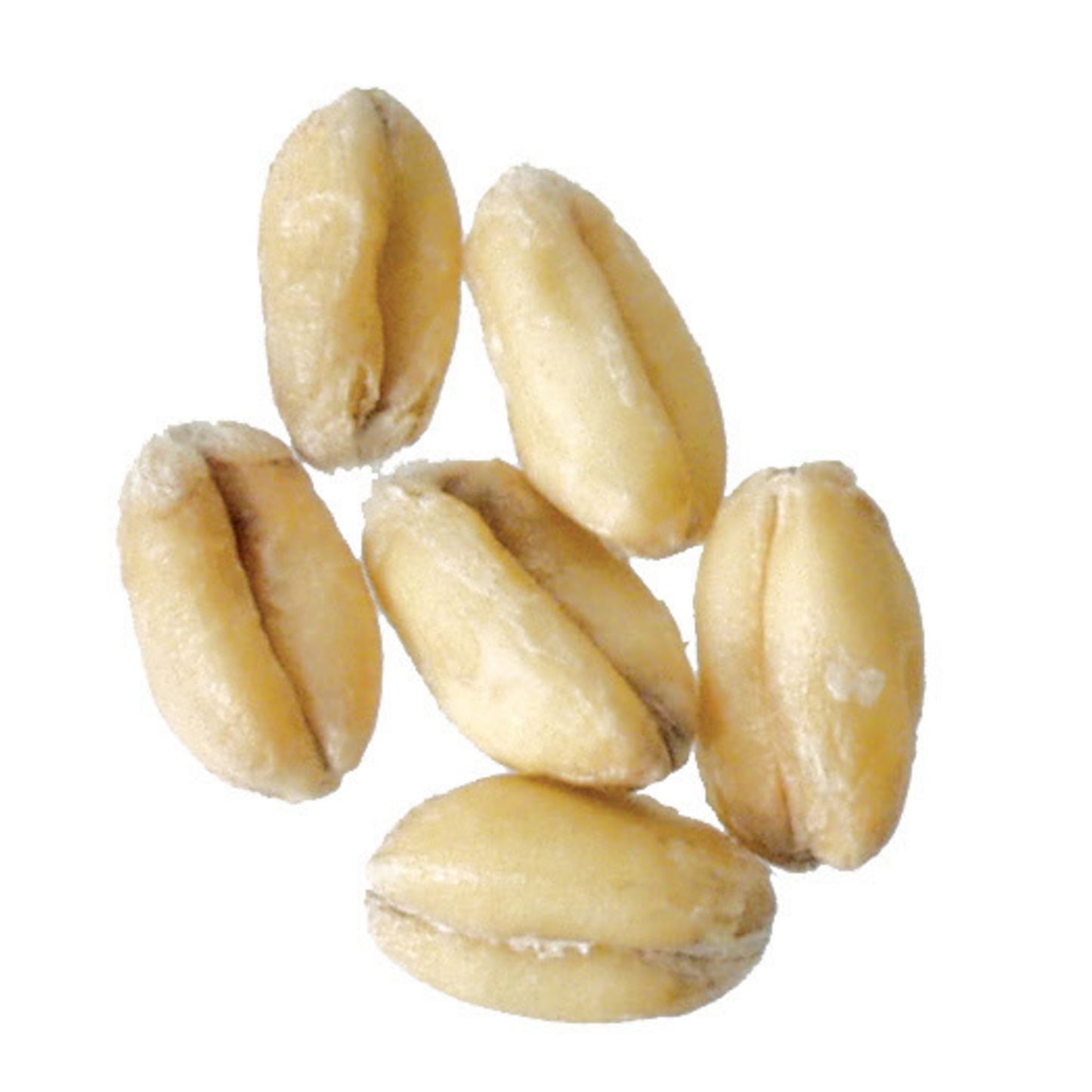 Malt - Weyermann - Light Wheat (55 lb Sack)