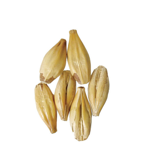 Malt - Weyermann - Carahell (55 lb Sack)
