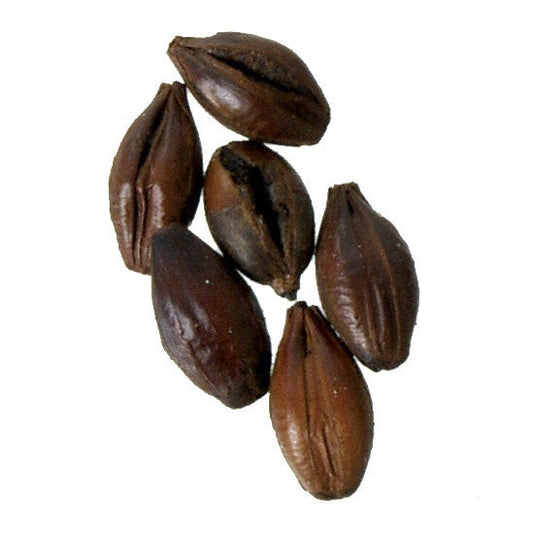 Malt - Briess - Black (Patent) Malt - (50 lb Sack)