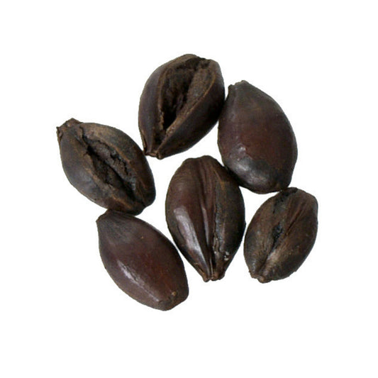 Bairds Roasted Barley 55 lb Sack