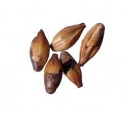 Malt - Dingemans - Special B (55 lb Sack)