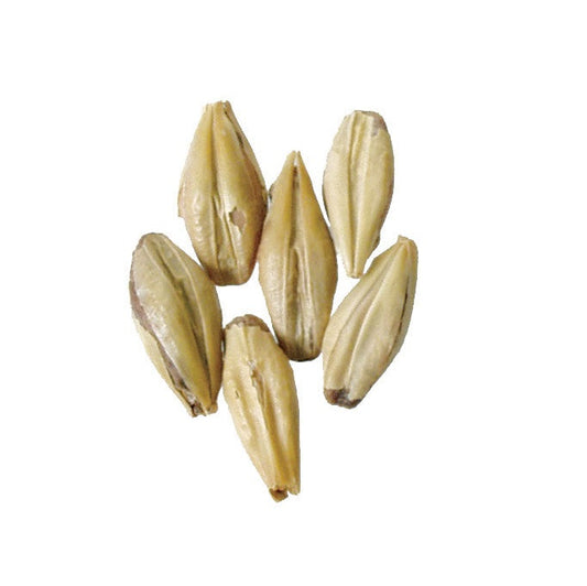 Malt - Briess - Victory (50 lb Sack)