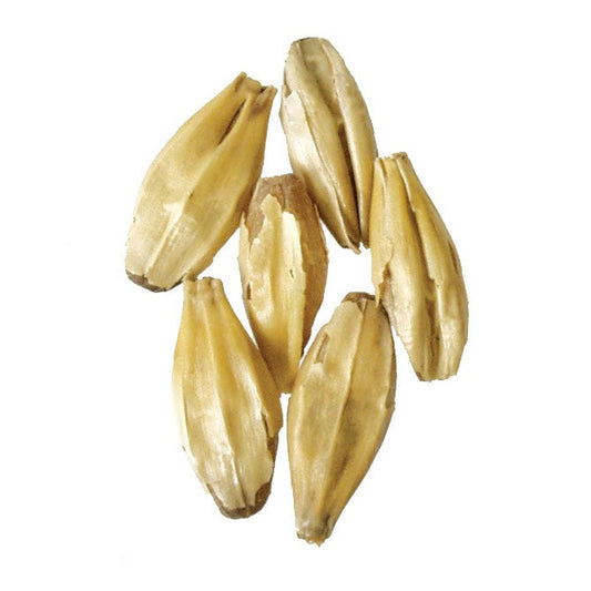 Malt - Briess - Carapils (50 lb Sack)