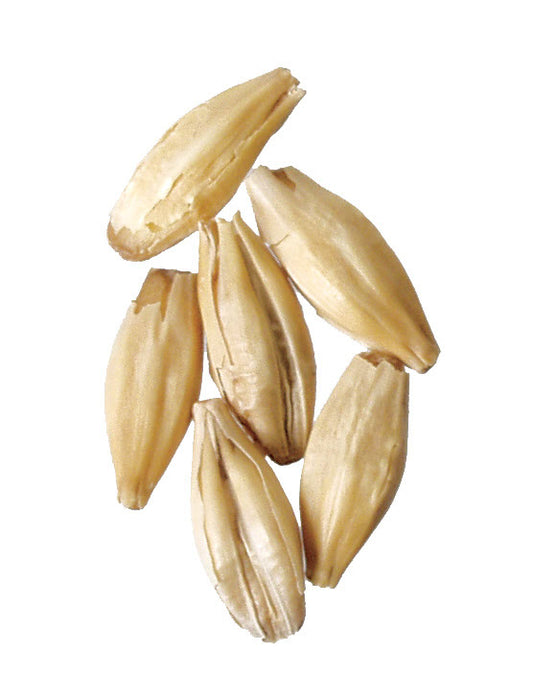 Malt - Weyermann - CaraFoam (55 lb Sack)
