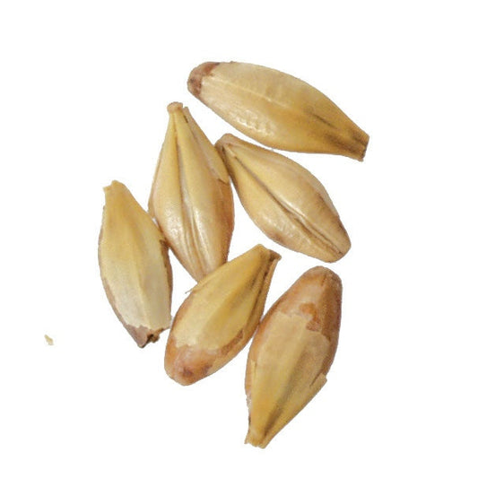 Malt - Briess - Caramel 10L (50 lb Sack)