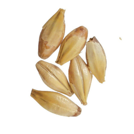 Malt - Briess - Caramel 20L (50 lb Sack)