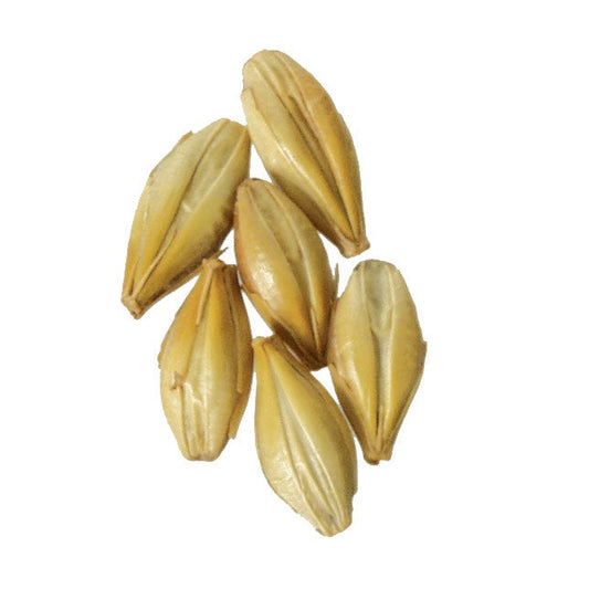 Malt - Briess - Caramel 40L (50 lb Sack)