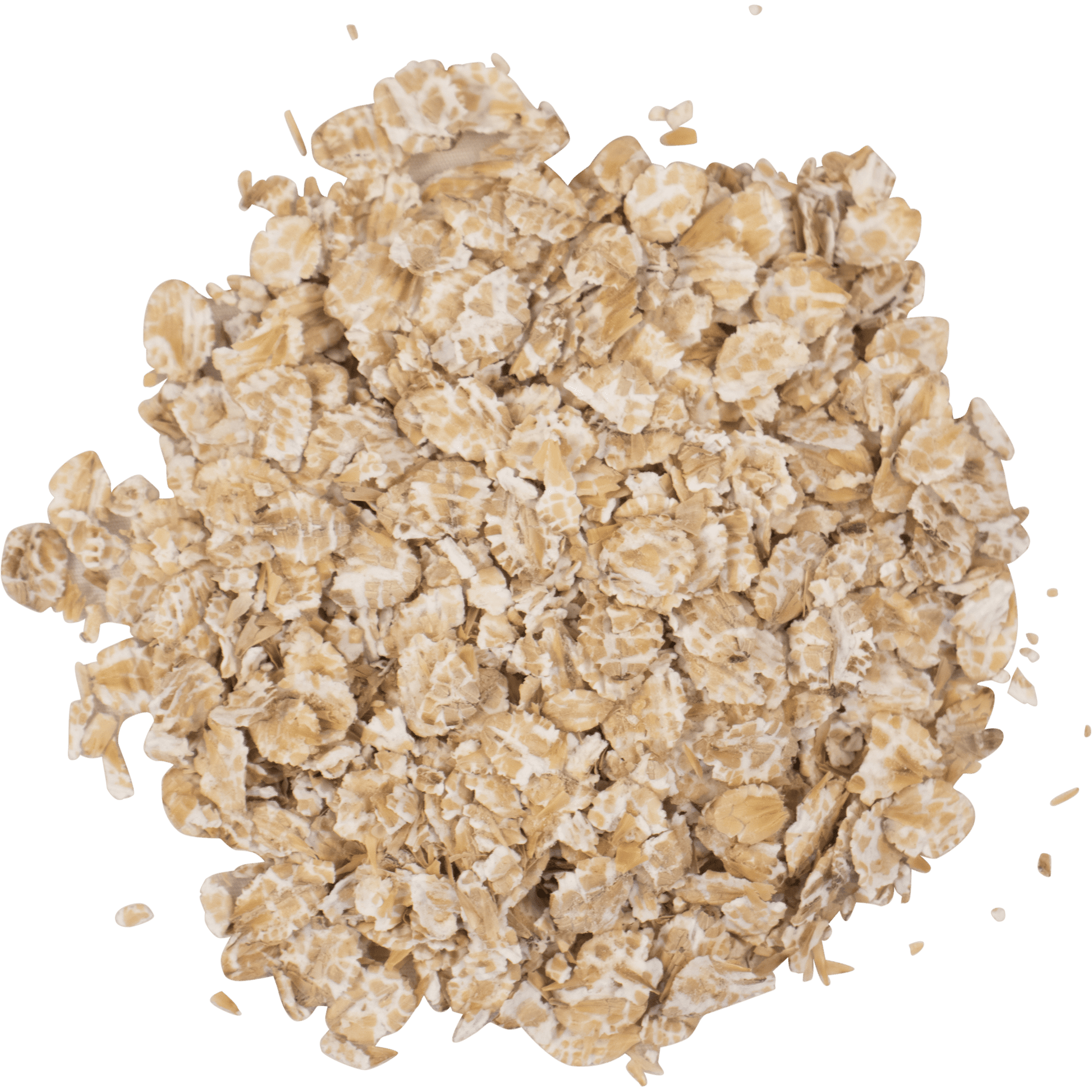 Briess Flaked Barley (25 lb Sack)