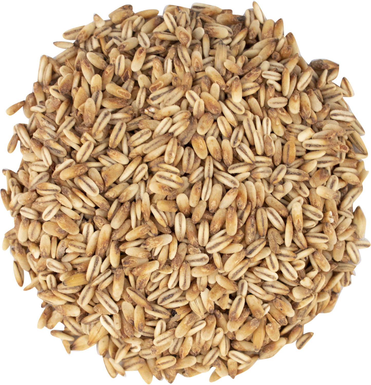 Malt - Simpsons Malt - Golden Naked Oats (55 lb Sack)