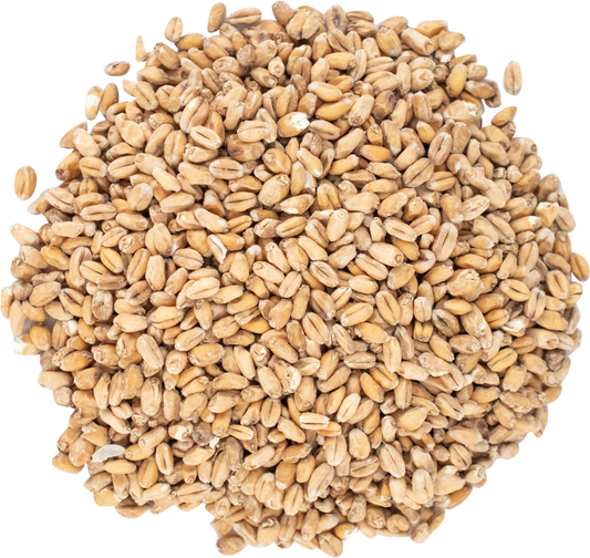 Malt - Viking Malt - Wheat (55 lb Sack)