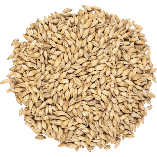 Malt - Viking Malt - Pale Ale (55 lb Sack)