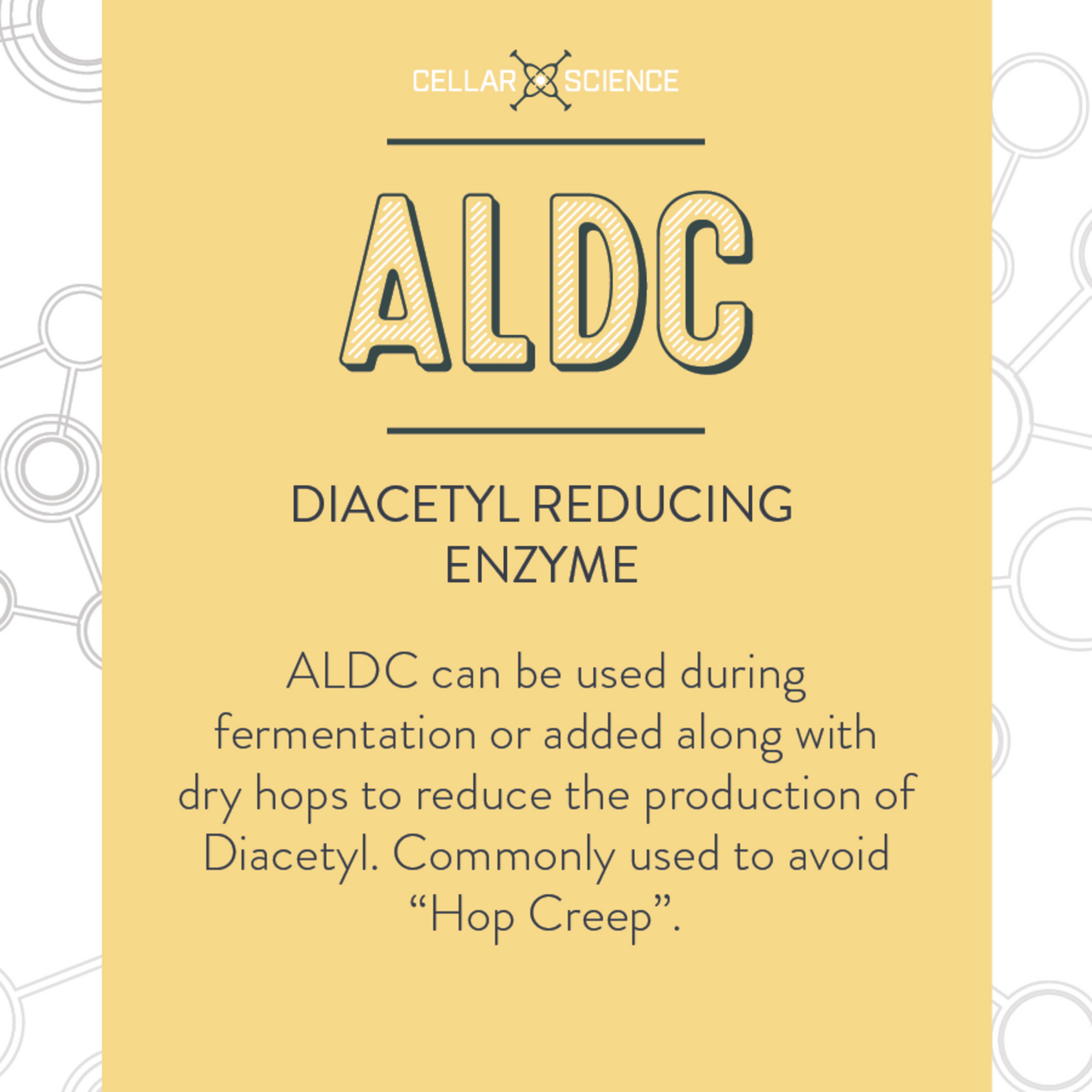 CellarScience ALDC | Diacetyl Reducing Enzyme | 1 oz