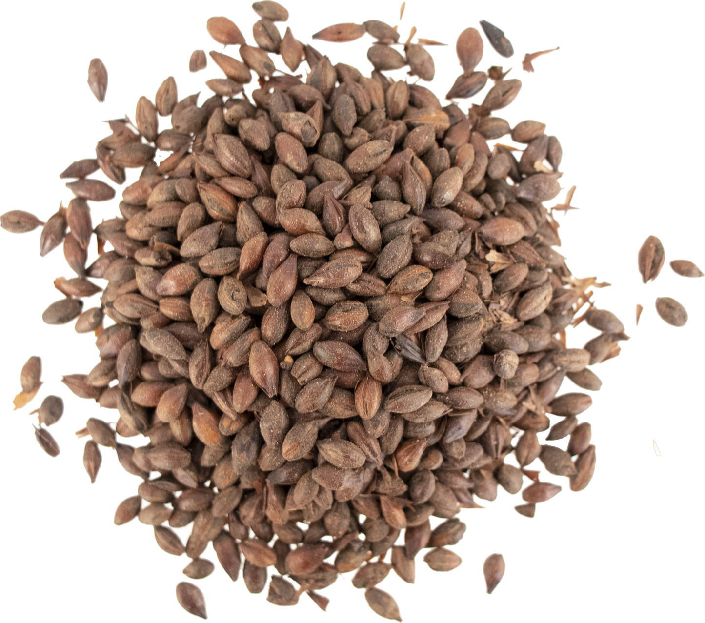 Malt - Weyermann - Carafa III [Special Dehusk] (55 lb Sack)