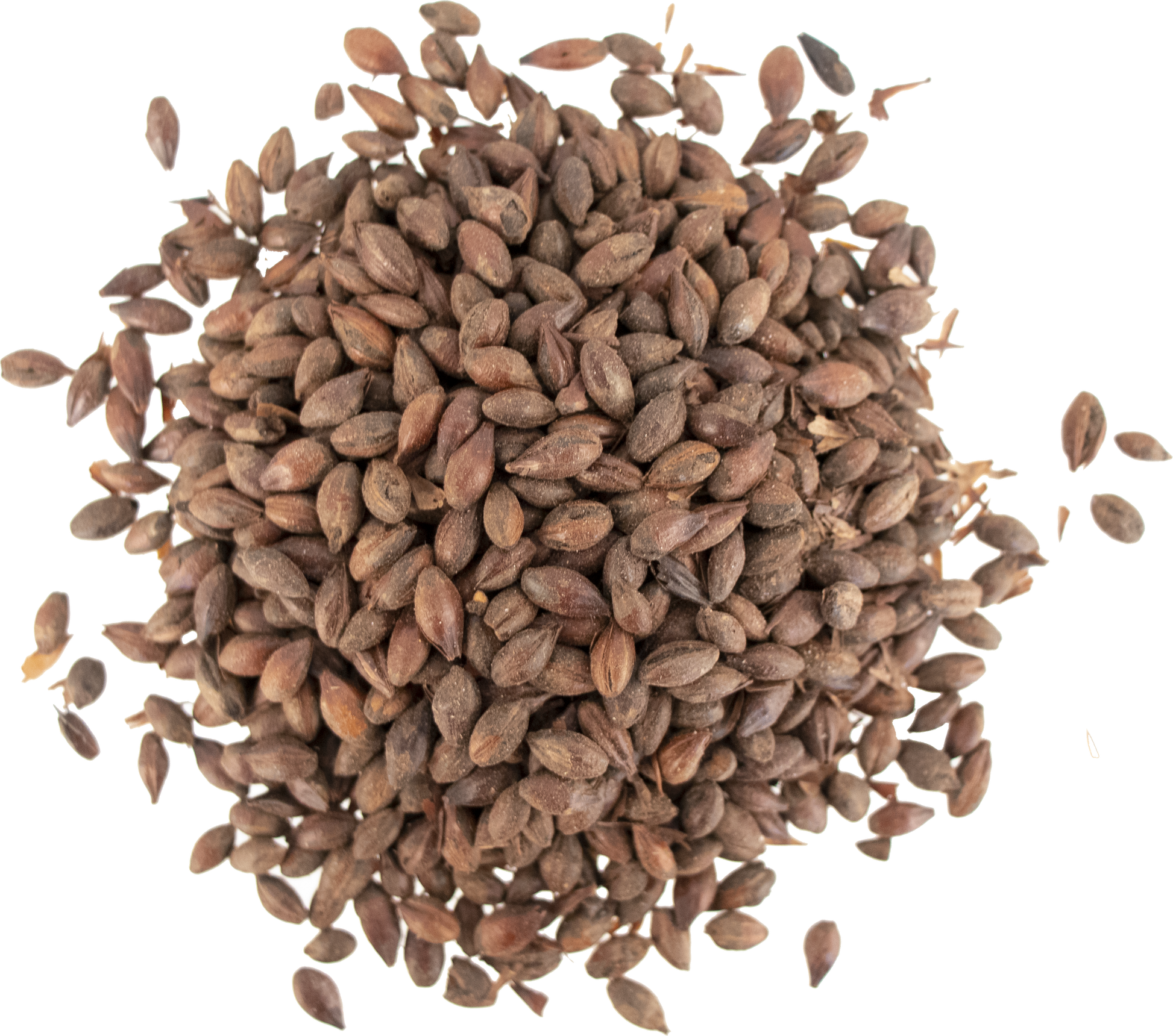 Malt - Weyermann - Carafa III [Special Dehusk] (55 lb Sack)