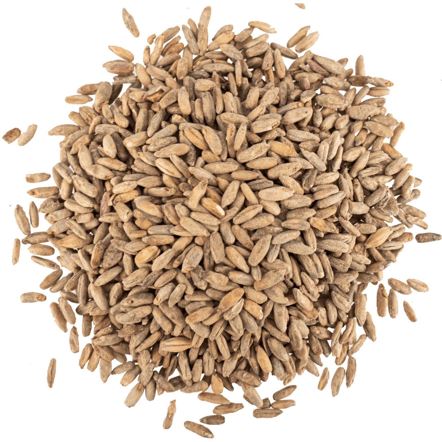 Malt - Viking Malt - Rye (55 lb Sack)