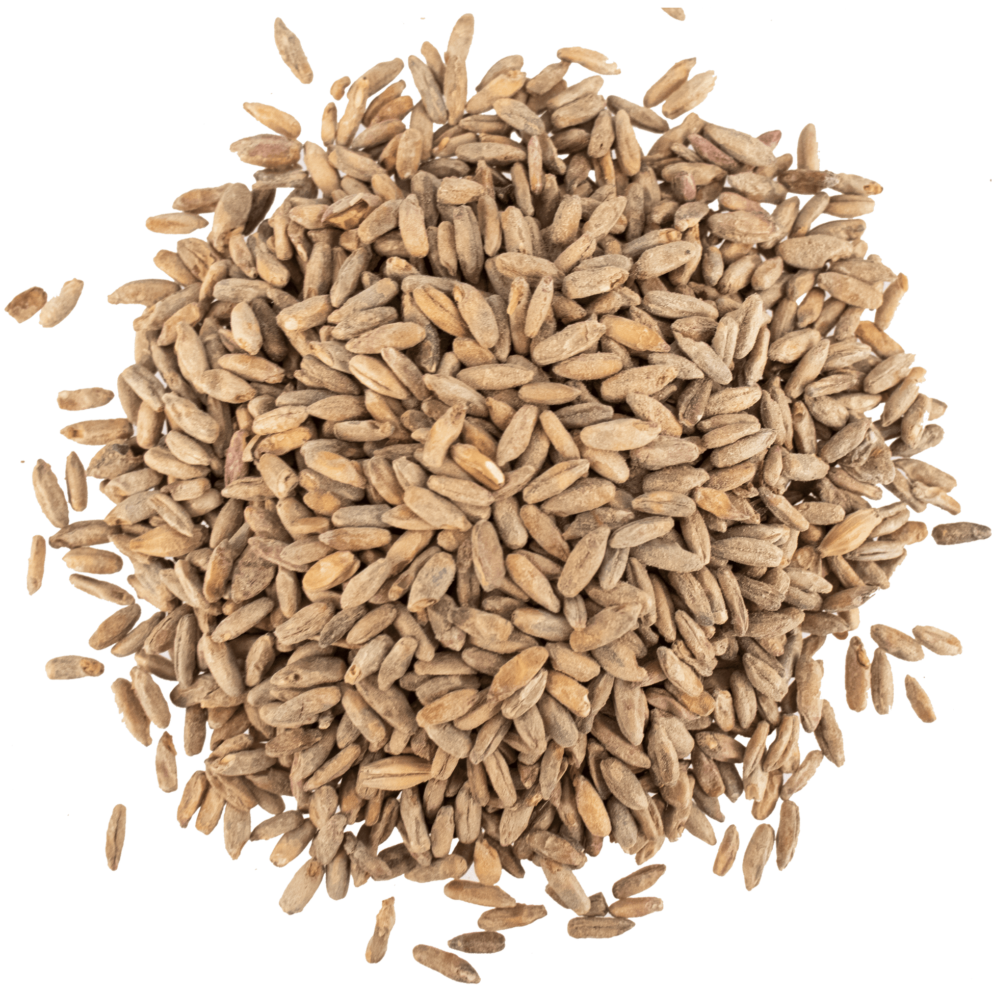 Malt - Viking Malt - Rye (55 lb Sack)