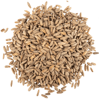 Malt - Viking Malt - Rye (55 lb Sack)