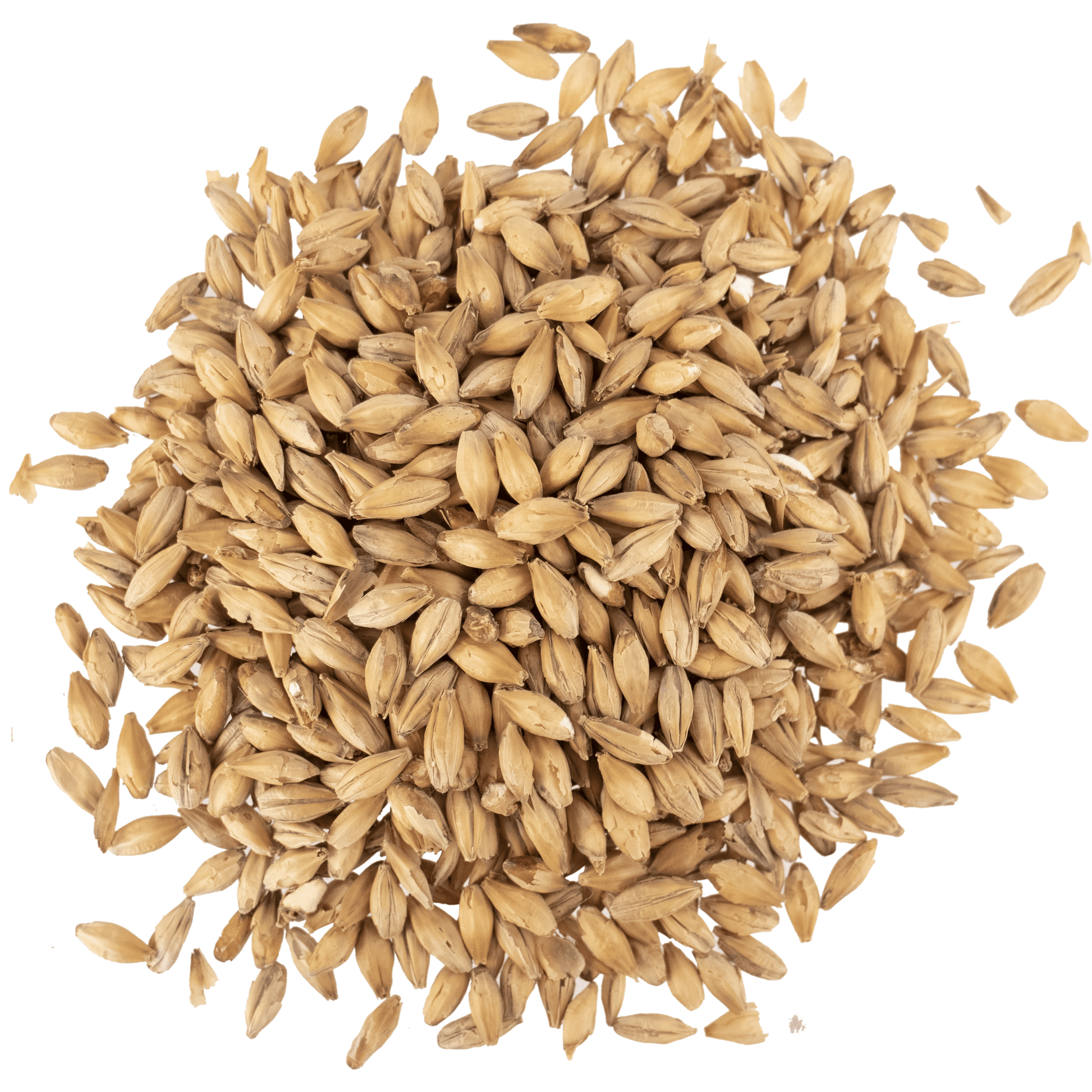 Malt - Viking Malt - Vienna (55 lb Sack)