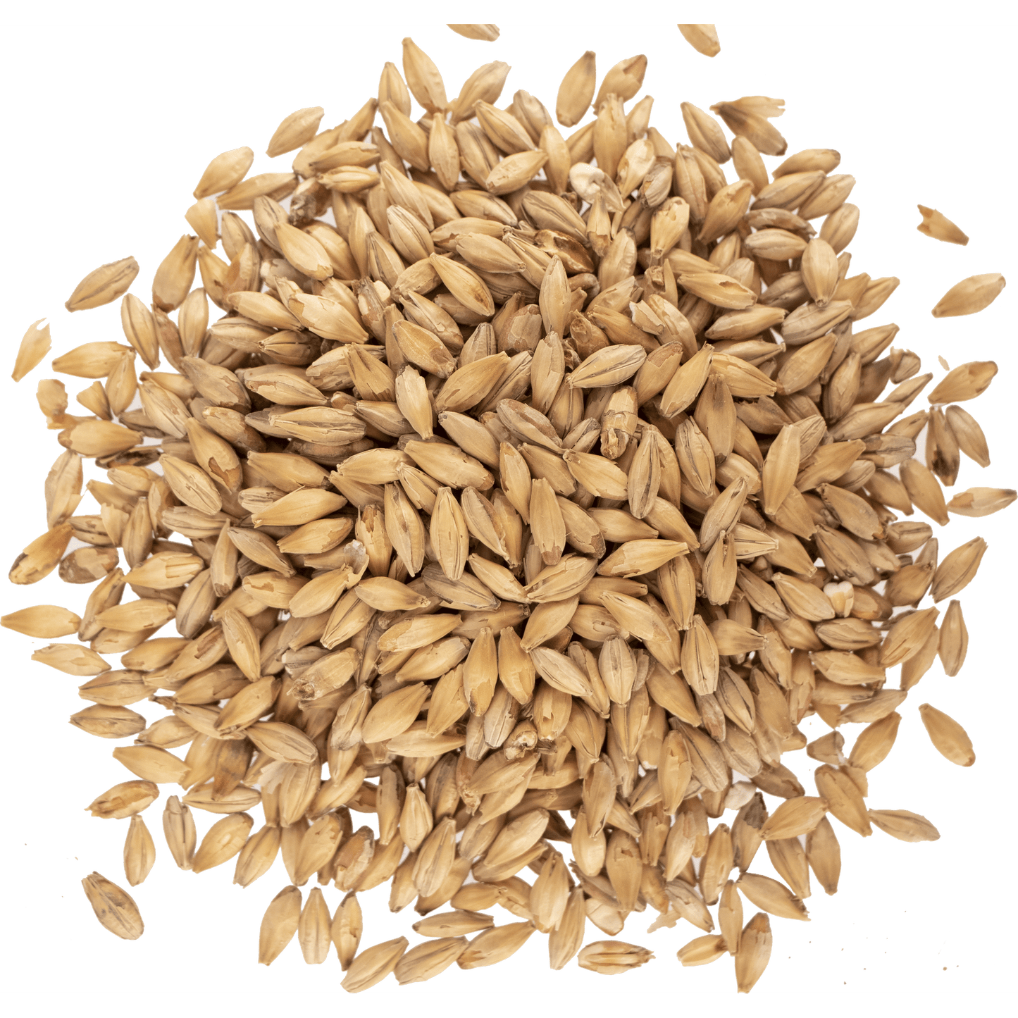 Malt - Viking Malt - Munich Dark (55 lb Sack)