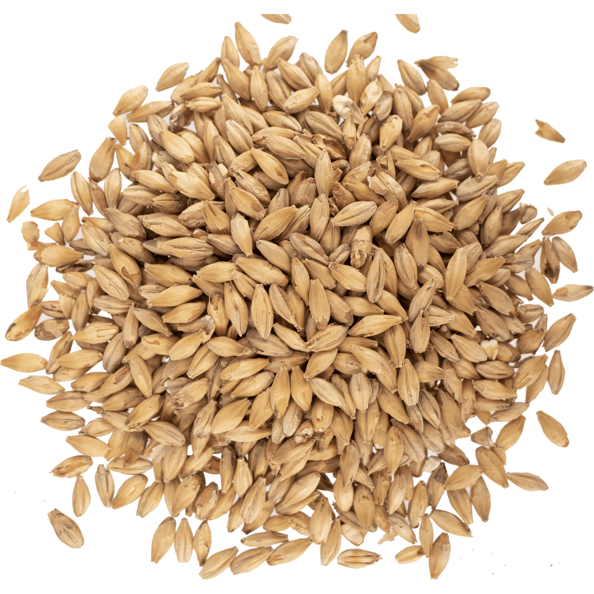 Malt - Viking Malt - Munich Dark (55 lb Sack)