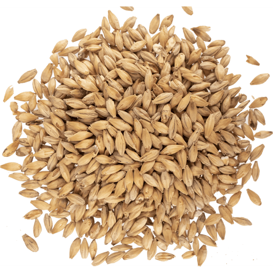 Malt - Viking Malt - Munich Dark (55 lb Sack)
