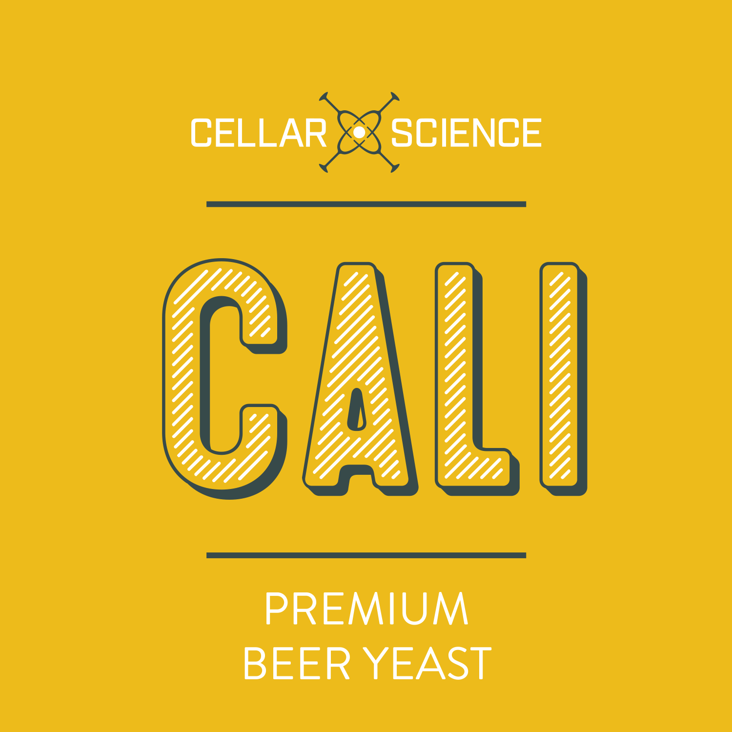 CellarScience - Dry Yeast - CALI American Ale (500 g)