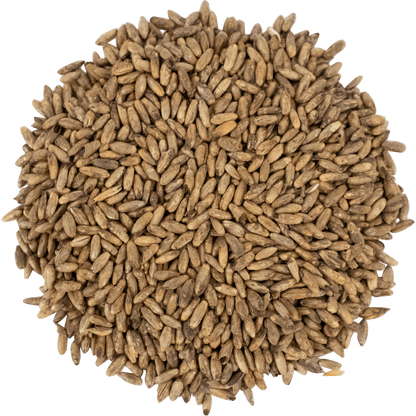 Malt - Briess - Caramel Rye (50 lb Sack)